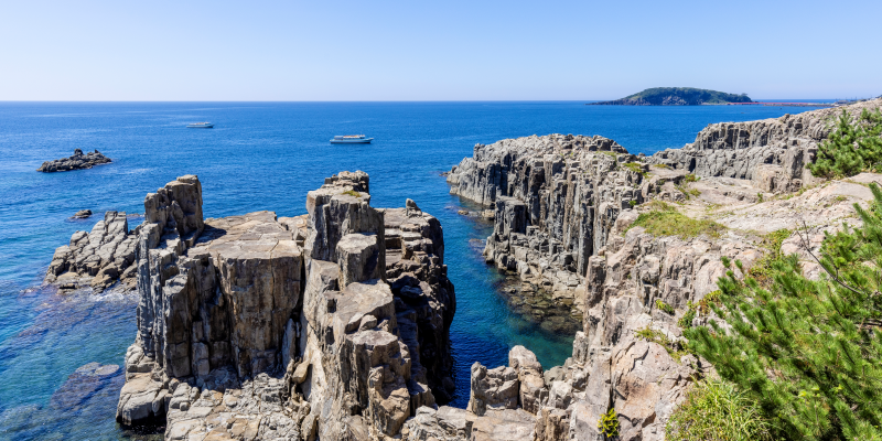 三国越前がに[Bコース]日帰りで楽しむ越前がに
